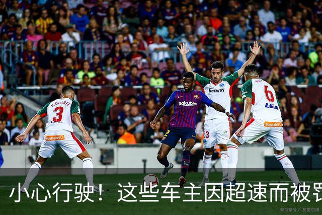 小心行驶！这些车主因超速而被罚得“痛心疾首